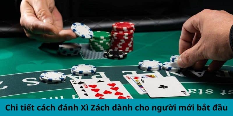 Chi tiết cách chơi xì zách dành cho người mới bắt đầu